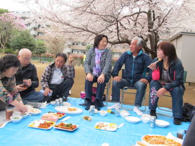 2015hanami3.jpg