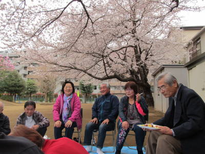 2015hanami4.jpg