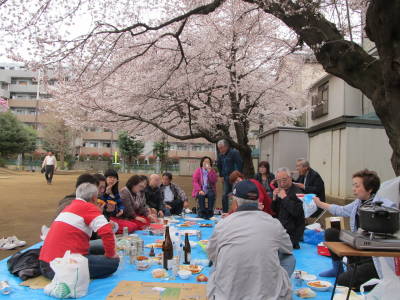 2015hanami5.jpg