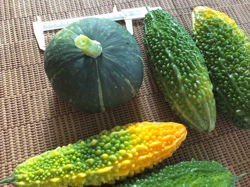 kabocha2