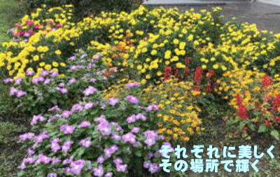 それぞれに美しい花