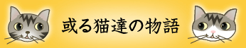 ある猫の物語