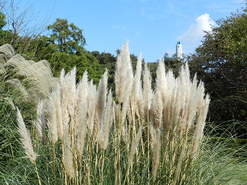 児童公園