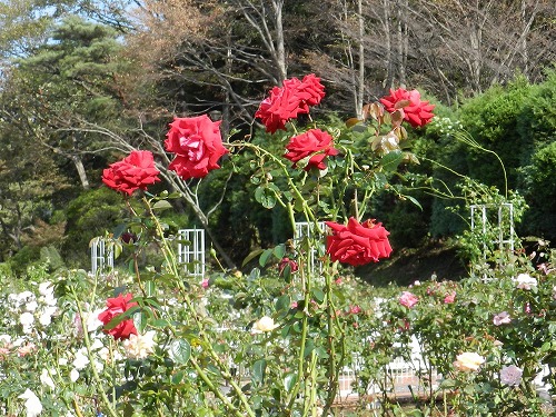 子供植物園