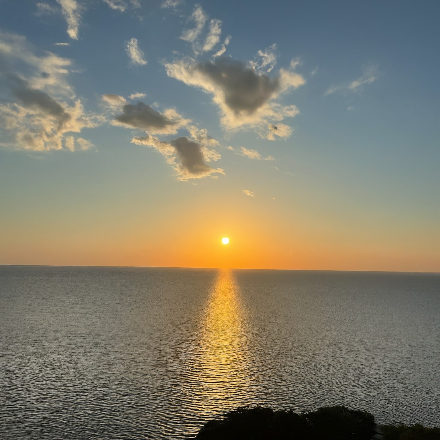 夏の太陽