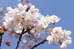 保土ヶ谷公園にて